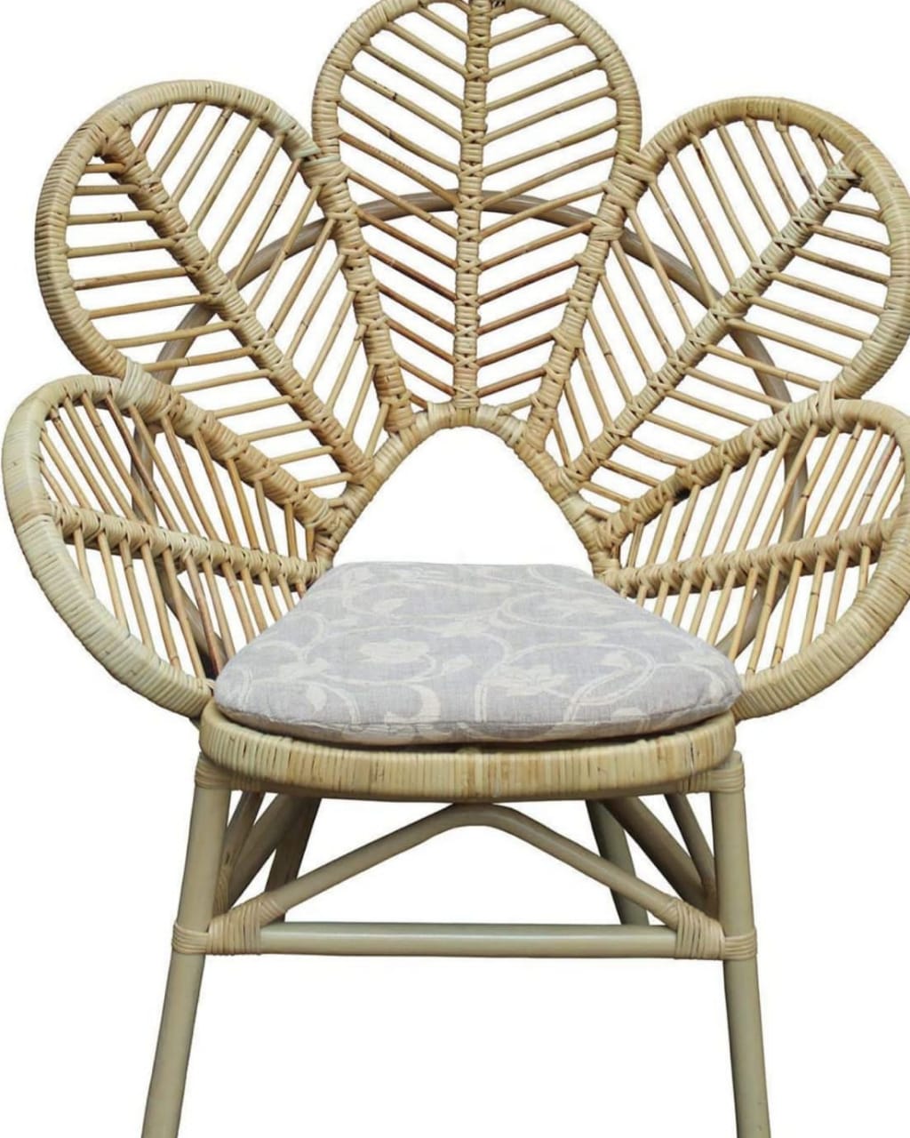 Cane Decorative Chair
